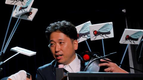 Researcher Tomoki Kojima of Japan accepts the Ig Nobel Prize for Biology, wearing a dark blazer and white shirt while surrounded by fake flies attached to sticks.