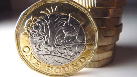 Pound coin