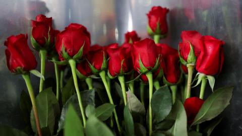 Bunch of red roses