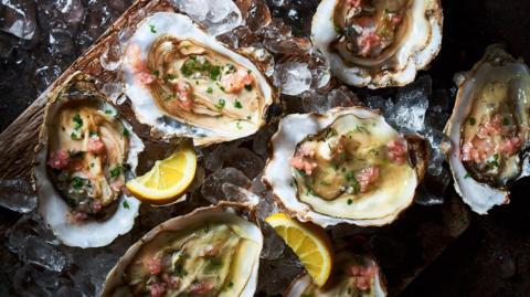 A dark wooden board covered with six Colchester Native oysters with parsley, two slices of lemon and a shallot vinegarette.