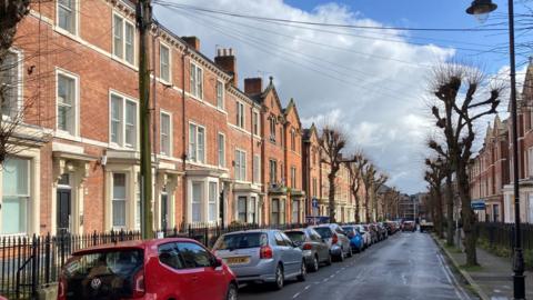 A row of Victorian-style houses on both sides of a street with cars parked on one side. The street is tree-lined.