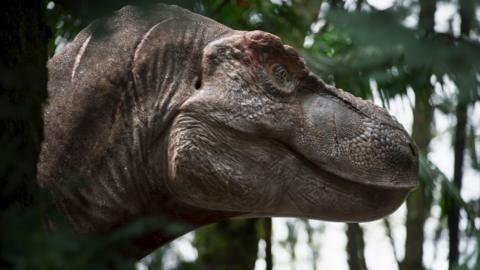 A T. rex's head looks to the right, standing amongst trees 