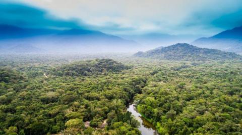 Aerial view of Amazon rainforest.