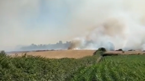 A green field is pictured with smoke rising from a fire in the distance