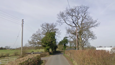 A country road lined with hedges and trees. Utility poles and a white building can be seen in the background.