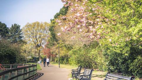 People walking down a path in a park. Trees are in blossom to the left of the path and there are park benches