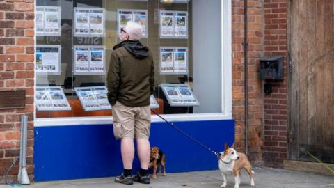 Man looks at house prices in a shop window while walking his two dogs