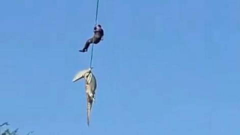 A grainy screen grab showing a rope with a crocodile on the end with a man holding on higher up
