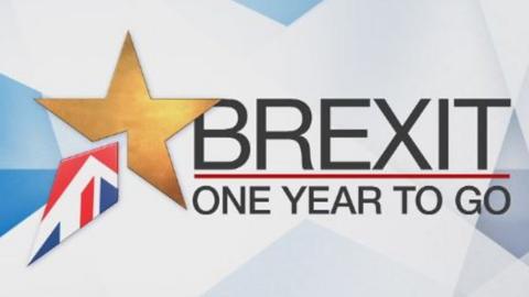 Brexit One Year to Go