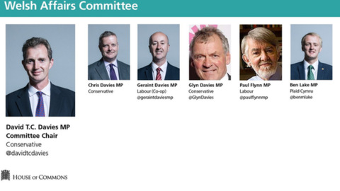 MPs on the Welsh affairs committee