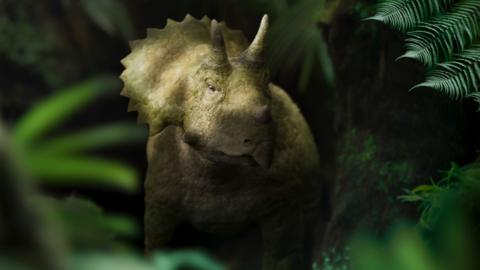 CGI of a baby triceratops