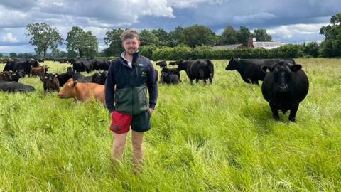 A man standing in a field with cows in the background