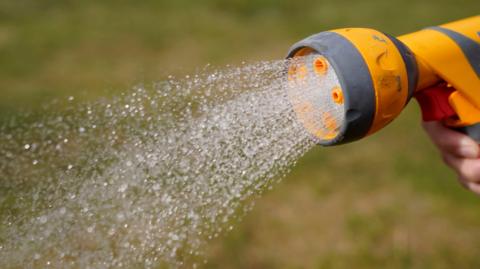 A hand holding a garden hose with water dripping from it. 