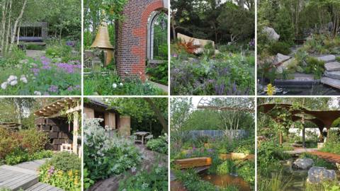 Multiple gardens on display from the RHS Chelsea Flower Show