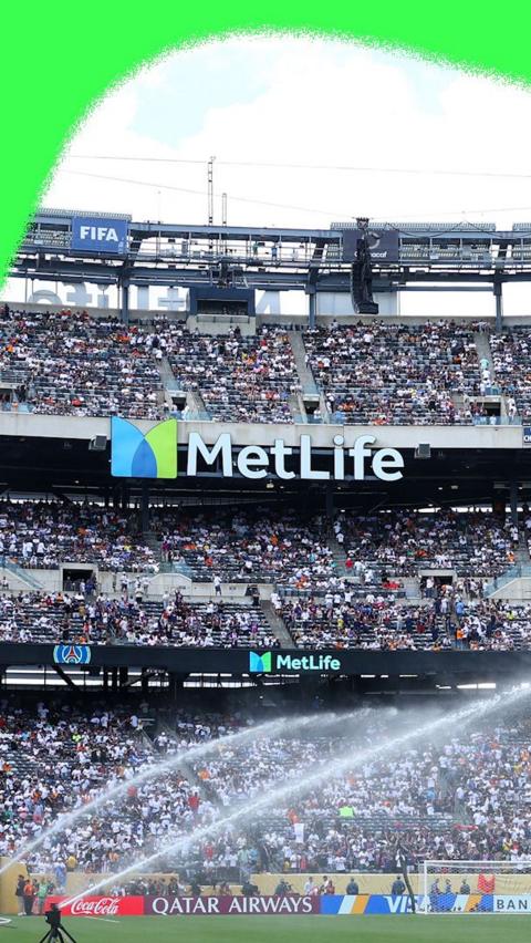 MetLife stadium