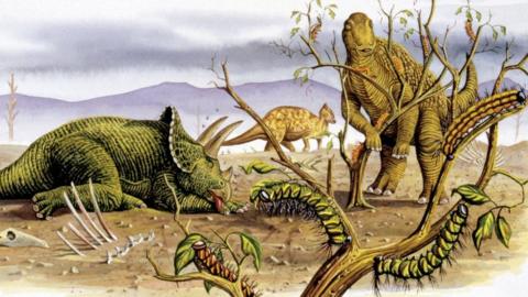 Herbivorous dinosaurs