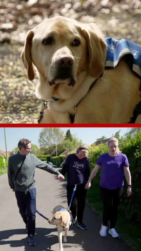 Support dog with family