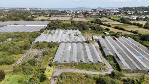 A field full of greenhouses from the sky, surrounded by green fields and some greenhouse debris. 