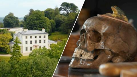 Agatha Christie's large, white house surrounded by trees in Devon, and an image of a model frog on top of a skull