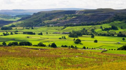 A rural landscape with fields of grass and trees and a mountain in the distance with sheep in the foreground.