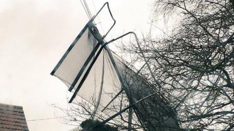 Trampoline in power line, Exeter