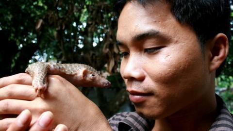 Thai holding a pangolin