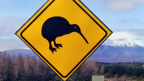 A kiwi crossing road sign in an alpine landscape in New Zealand