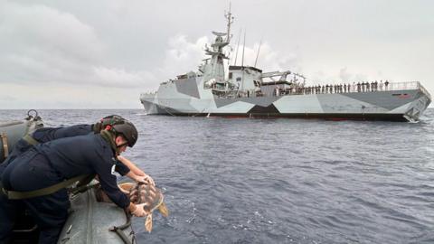 The crew of a Royal Navy warship are pictured at the release of six rare turtles. In the background you can see the warship and near to the camera you can see a smaller boat with the turtle being released.