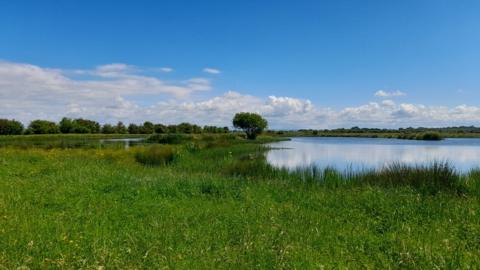 ponds among grass on a sunny summers day