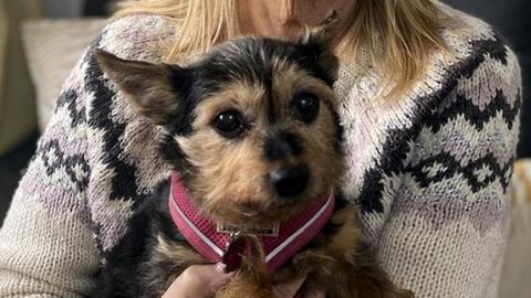 Linda Tonge and her Yorkshire Terrier Lulu