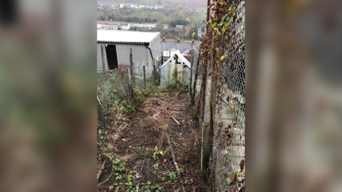 More than 30 chicken were discovered dead on an allotment