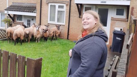 Toni Underhill and sheep