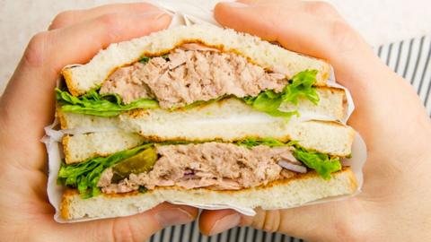 A tuna mayonnaise sandwich with lettuce on white bread