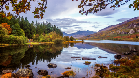 A lake and trees in the Eryri national park 