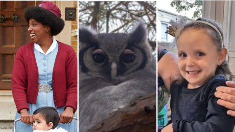 A composite of three images in the first an actress from Call the Midwife in a nurse's uniform is smiling and pushing a child in a pram. In the mdidle a grey owl looks straight ahead. In the third a young girl, Layla, is amiling and wearing a dark dress.