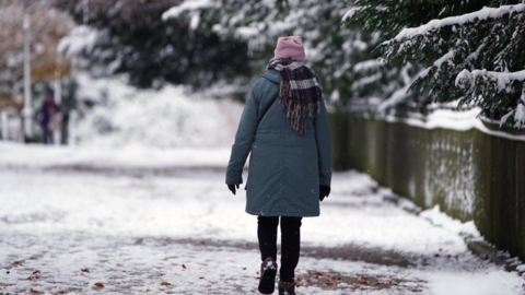 A person in a blue coat and scarf walks away from camera on a snowy lane with trees either side.