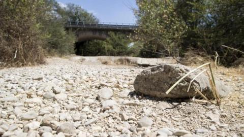 A dried up creek north-west of Rome as Italy suffers a drought, 26 July 2017
