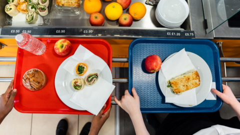 An overhead view of two people holding a tray each, one red and one blue. They contain a plate, including food, and an apple. The red tray has two other items. 