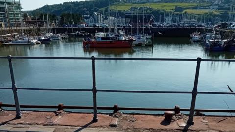 A number of boats are docked in a harbour's marina. Green rolling hills can be seen in the background beyond the water. 