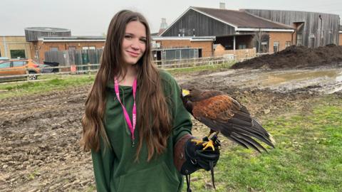 A young girl holds a bird of prey. She is standing outside on a farm. 