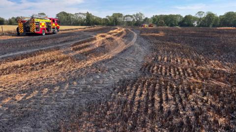 A large field fire, showing burnt crops, with a fire engine to the left. There are trees and other fire engines in the distance. There are tyre marks in the ground. 