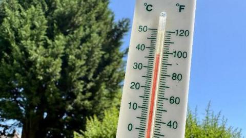 A thermometer in a garden