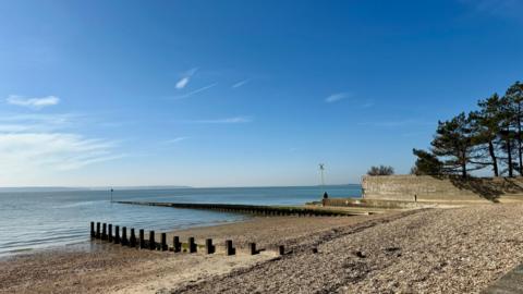 View of a sandy and shingle beach with groynes out into the sea, a white wall to the right with some trees, under a blue sky