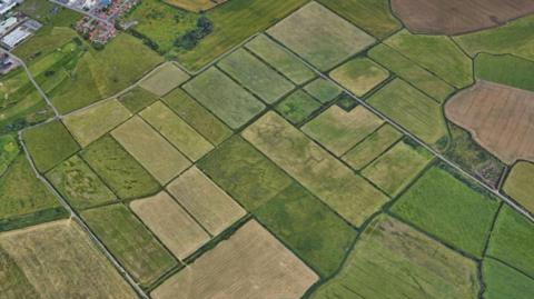 aerial view of rectangular green fields in Wirral