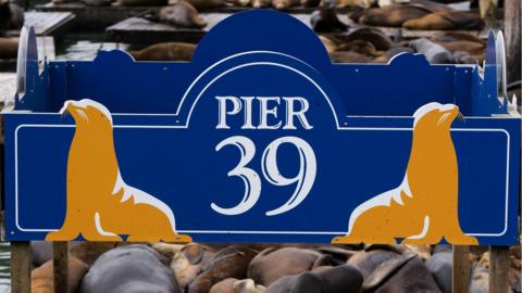 Close-in shot of Pier 39 sign with sealions on it
