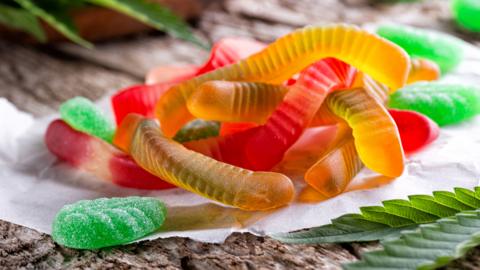 Stock image of cannabis infused gummy candy on a rustic table top with marijuana leaves