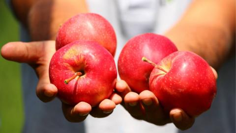 Kashmir apples