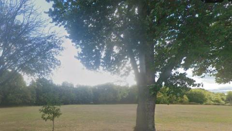 A recreation ground which has several trees in the foreground, including a small tree next to a more mature one. In the background is a woodland area. 