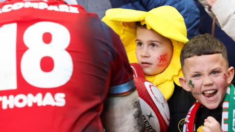 Wales fans in the Principality Stadium 