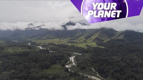 An aerial shot of a rainforest and the Your Planet logo